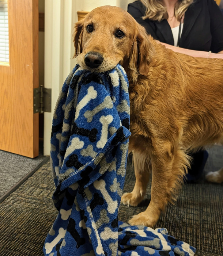 83244b5e2986b32fdfdd22954d 83244b5e2986b32fdfdd22954d