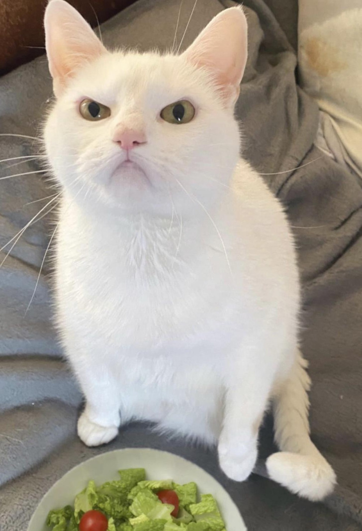 832d5958dcbfe651d171b00158 832d5958dcbfe651d171b00158