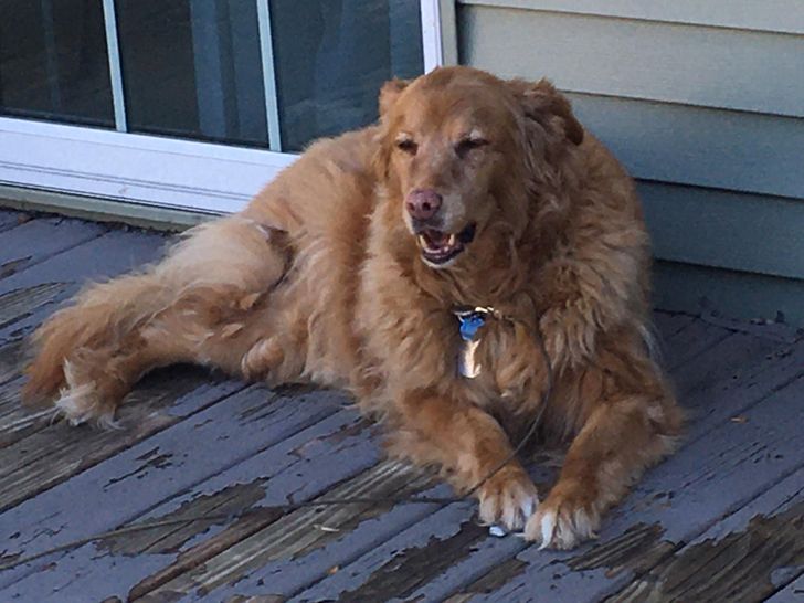 832f1056968886eb9f3bc409e7