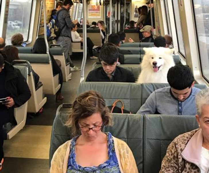 8338795fb68f54ac923341ab02