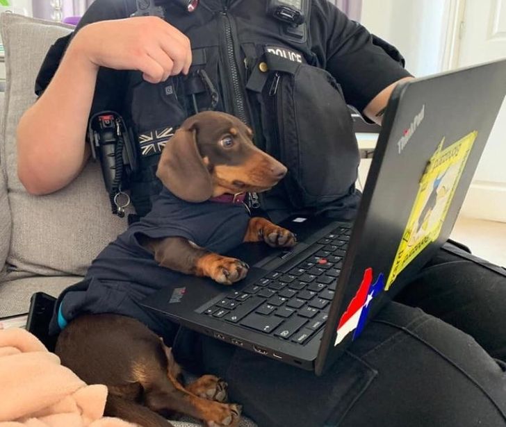 8338c75eba918ac08610fabbc3