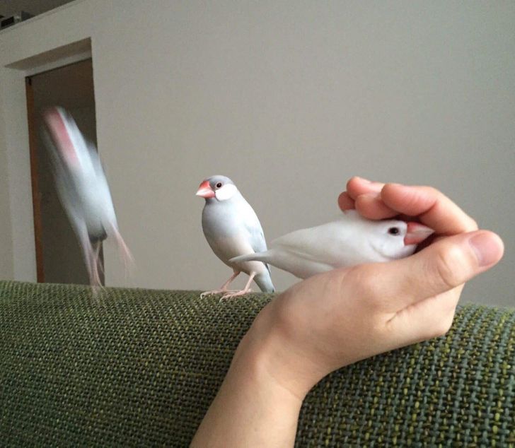 83401c574cb5e07419b8f80af7