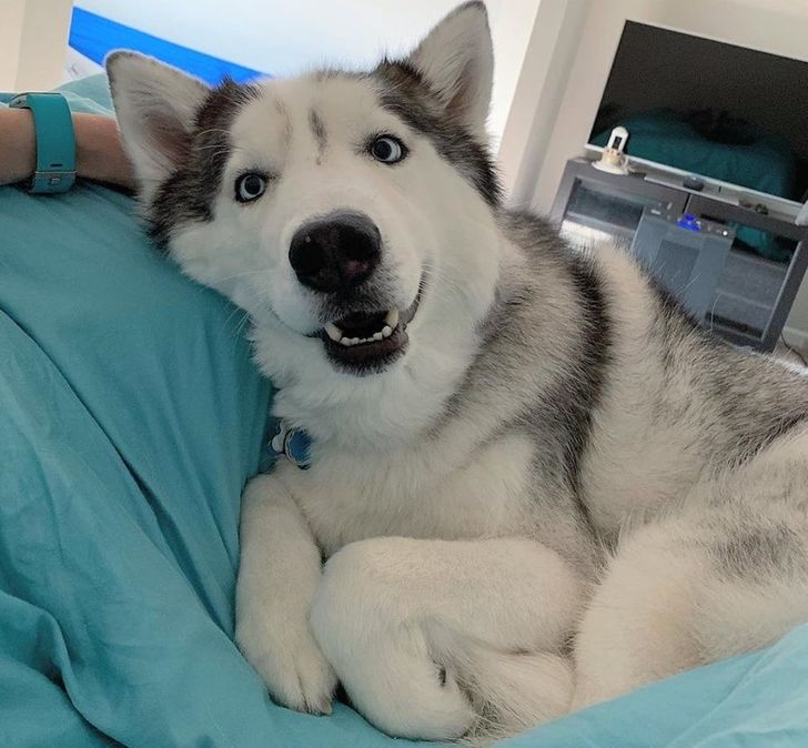 8340d65b07872d339d9eae3bf1