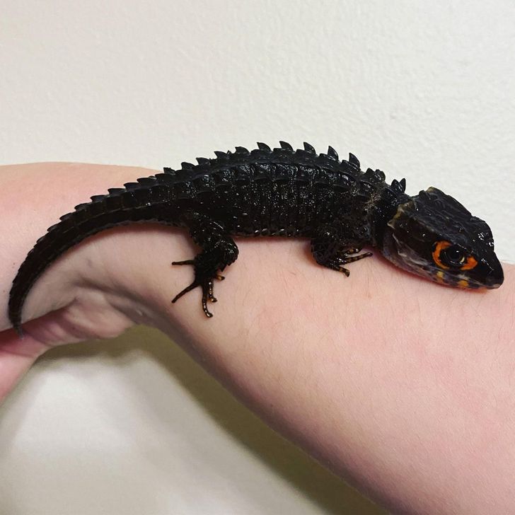 8346d15adea314111621f87d3a