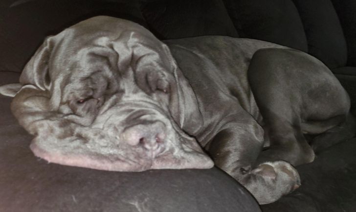 834b9b5597b5f054ecd8fd617b 834b9b5597b5f054ecd8fd617b