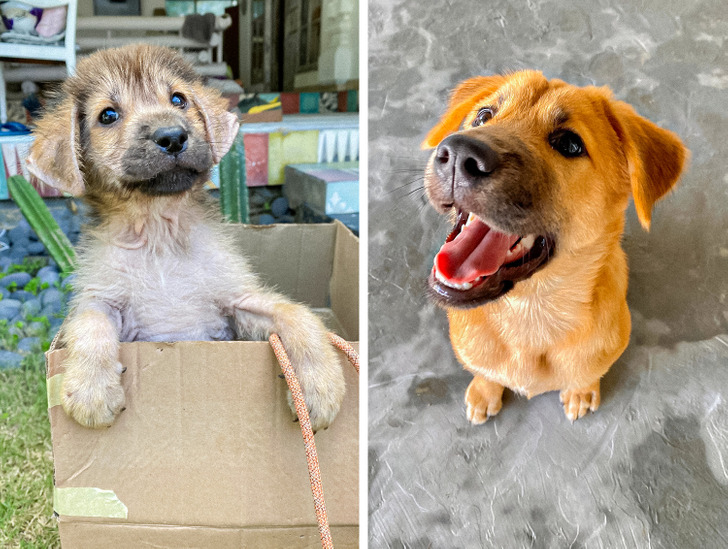 834df955bcb0078d2c859d8806 834df955bcb0078d2c859d8806