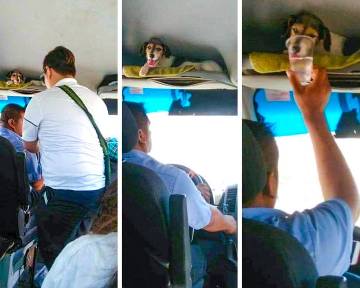 83500e5a02ab0b15fbf4ba2163