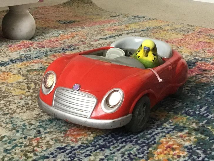 83534b5cb8a1b1e2fcfc0281bf