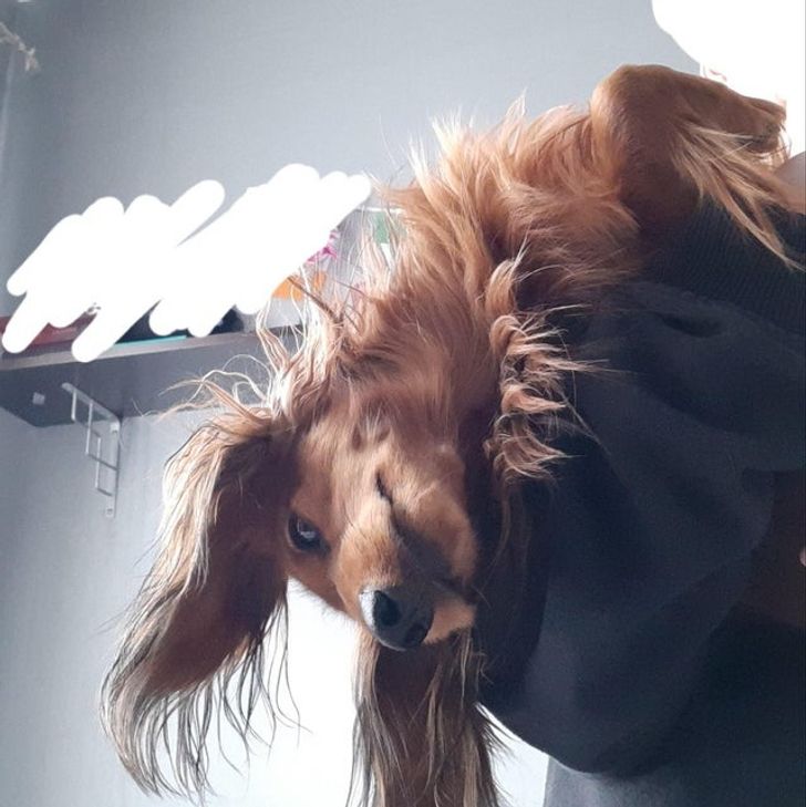 83620755cb83a480e0b632f778