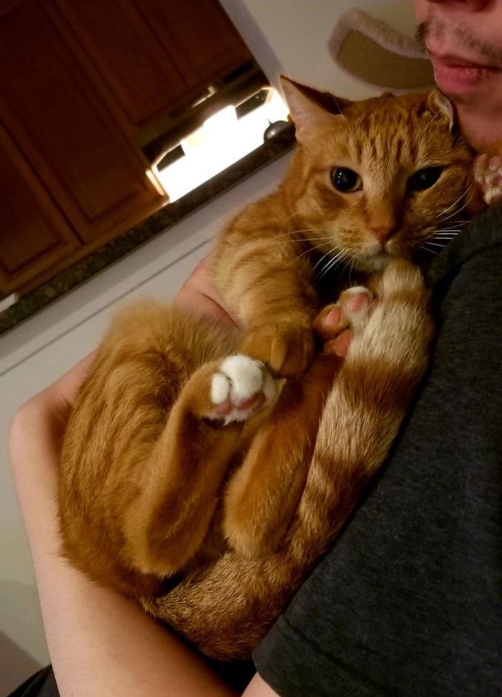 836681522f962c18e0b6adcd55