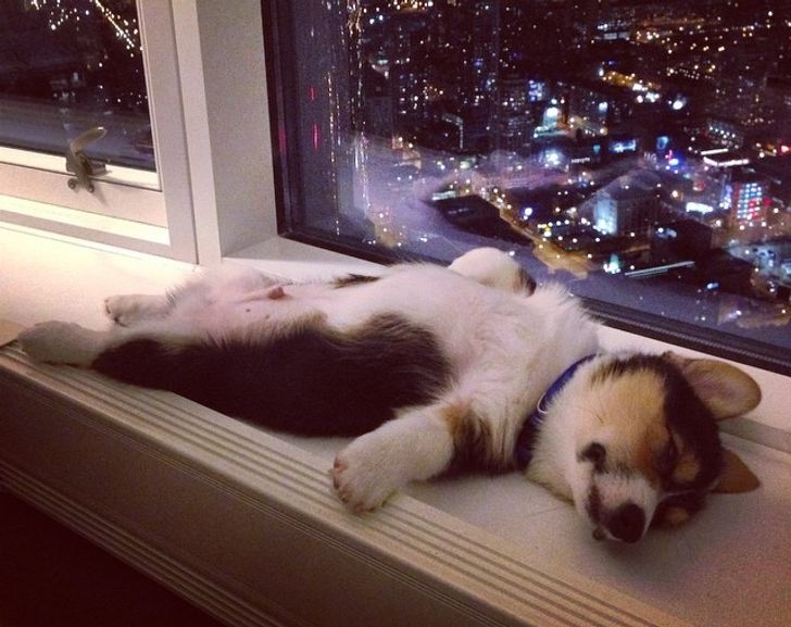 8369f95de88d2685144b6549d7