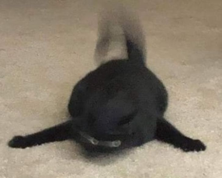 836ce15861b1e14a6cff93b6cf