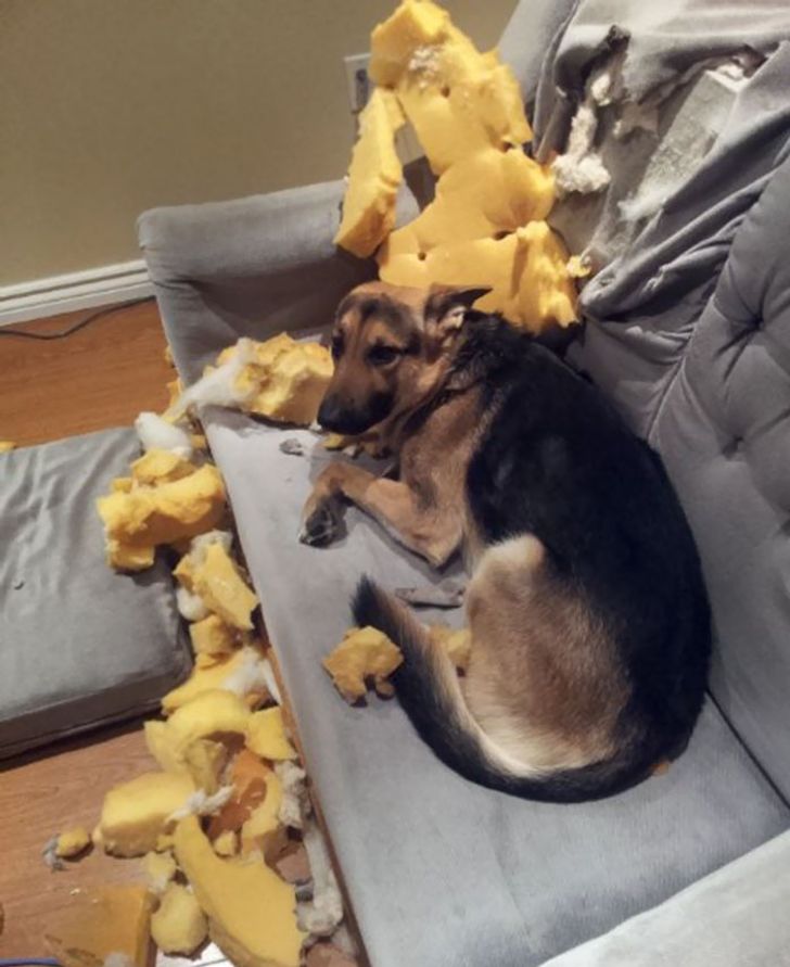 8370245ad090b31b5a759938cc