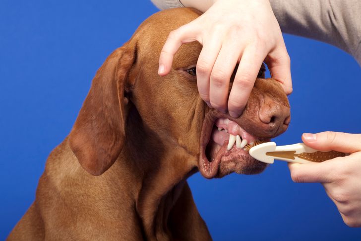 83739250a6b90138aef2d9f0fb