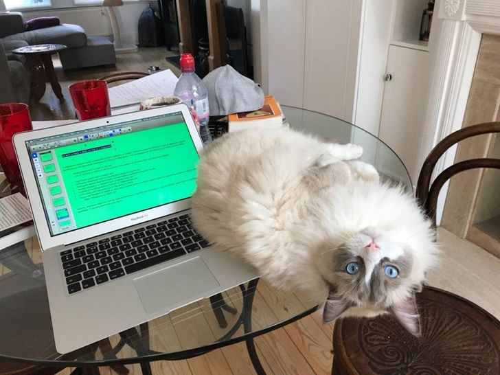 837f30595bbdfc979298f127ab 837f30595bbdfc979298f127ab