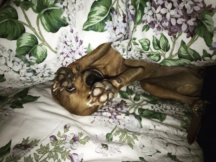 838b755ceb9df6afab0803ff2b