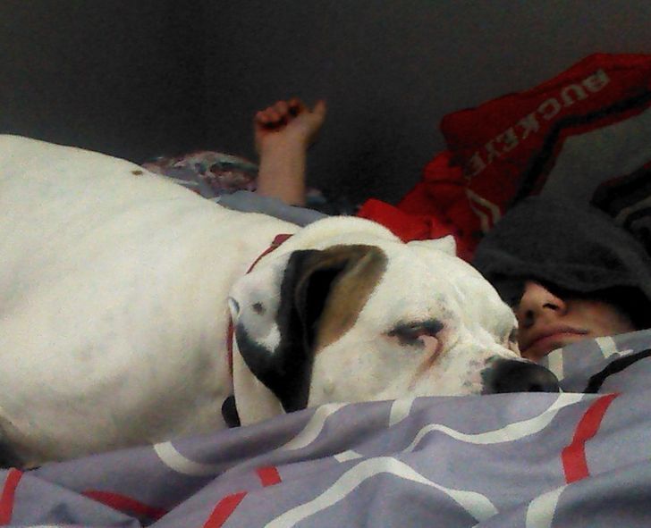 838f66559aa8964929226ffb52