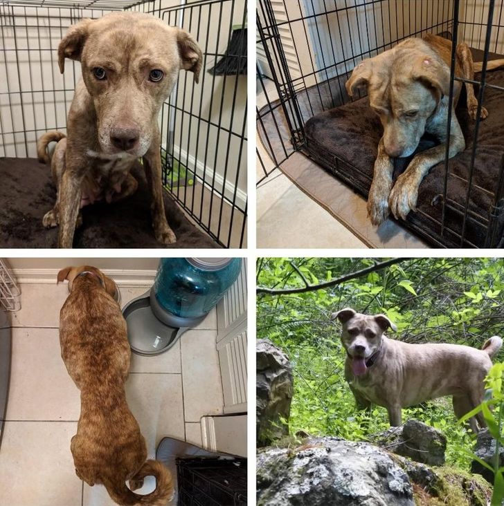 838f8f56dc8bcbc3ff4965f413