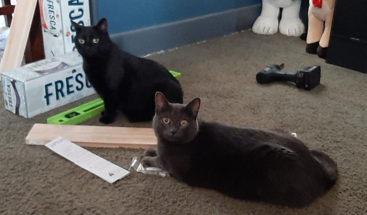 839d1e5e6cbb65d5a620a5dcaa