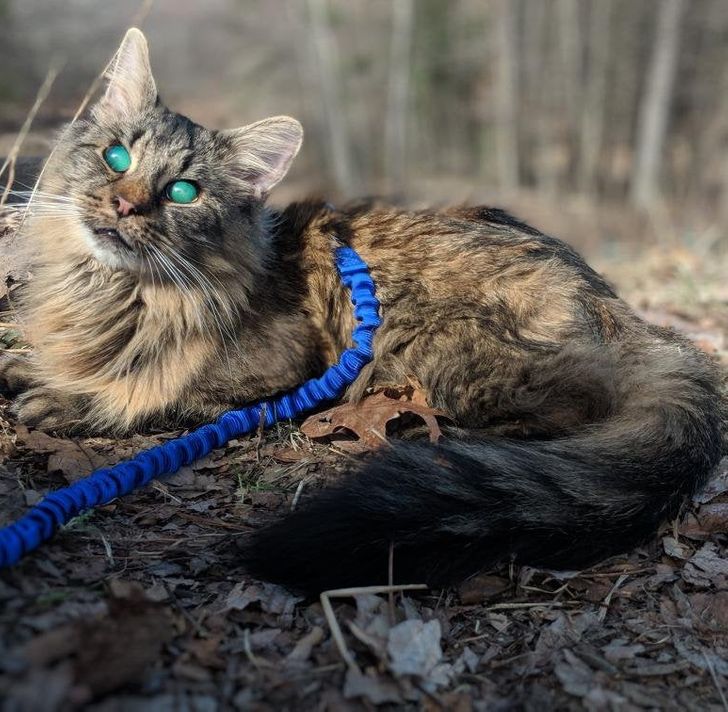 83a87a50e892920e81173fce3a