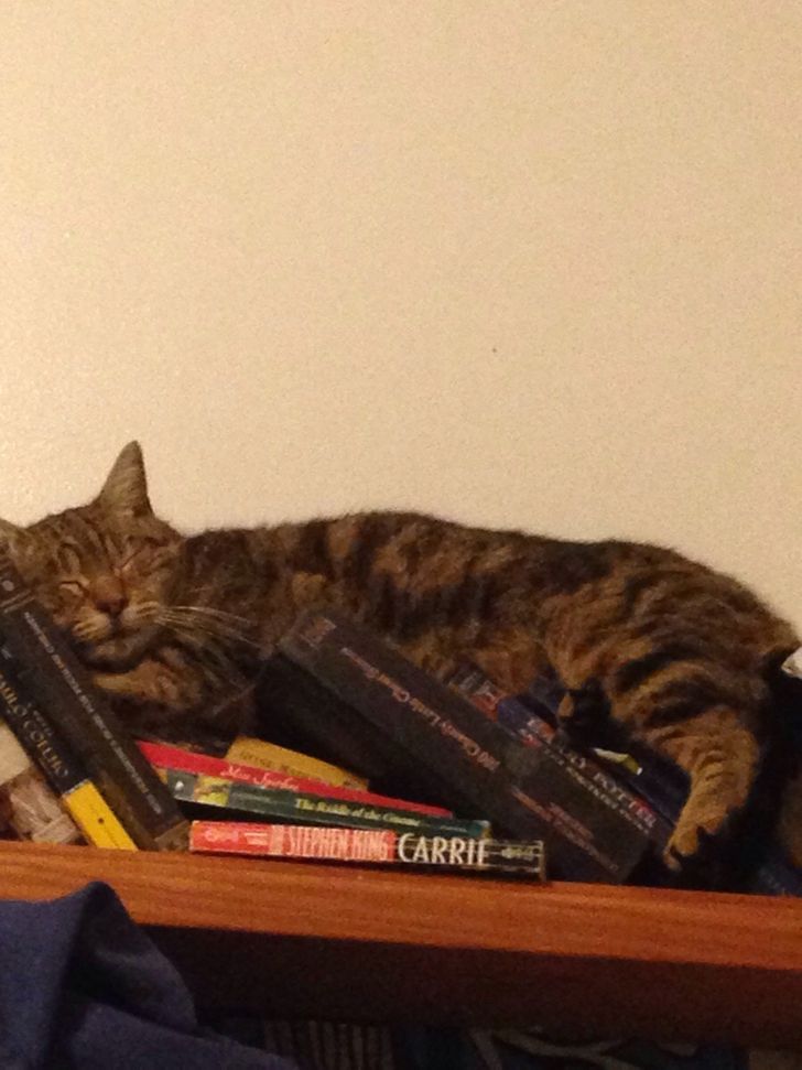 83ab3d58f59eef427c5a336226