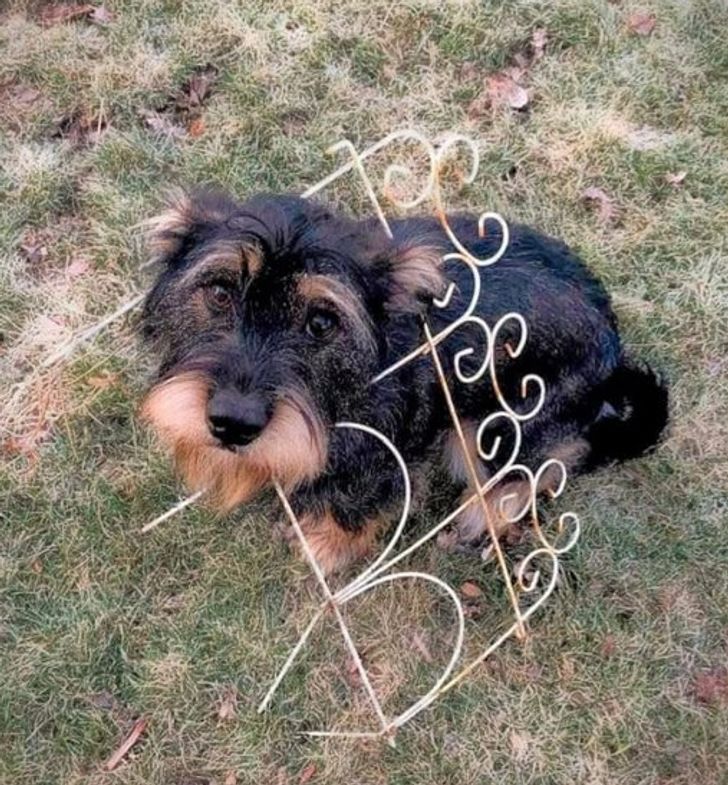 83b4405526a6f13fef857e4434