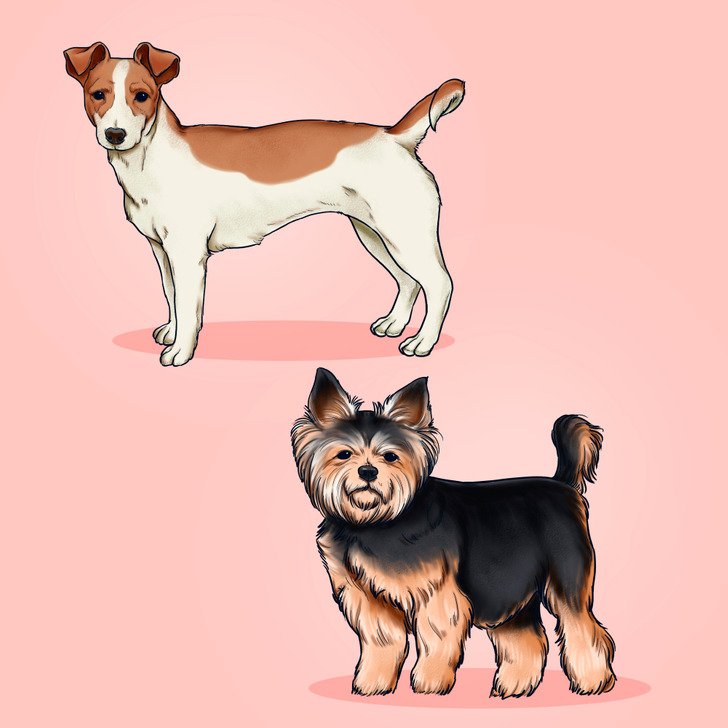 83b4bd538cb062a2c52e9821ae