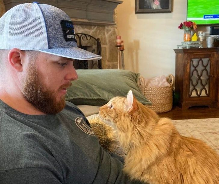 83bb775db3a6dc2d188c331454