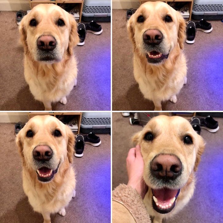 83bd005e248dd7196d31beed2c