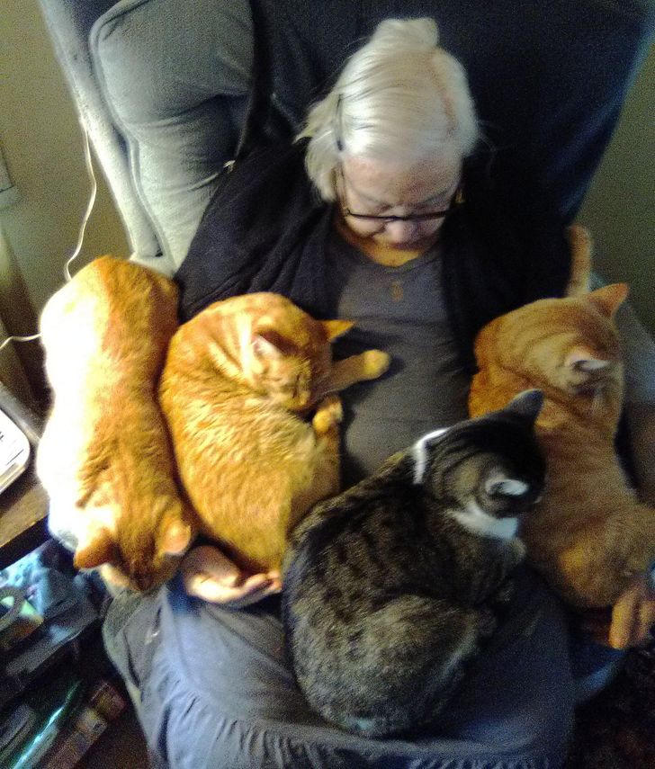 83bfc050eeb64649b7b9c75fc5