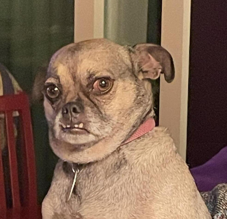 83bfdc5551905e76f144af8396 83bfdc5551905e76f144af8396