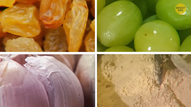 83c7905ee7ad1ab551d6f1edef 83c7905ee7ad1ab551d6f1edef