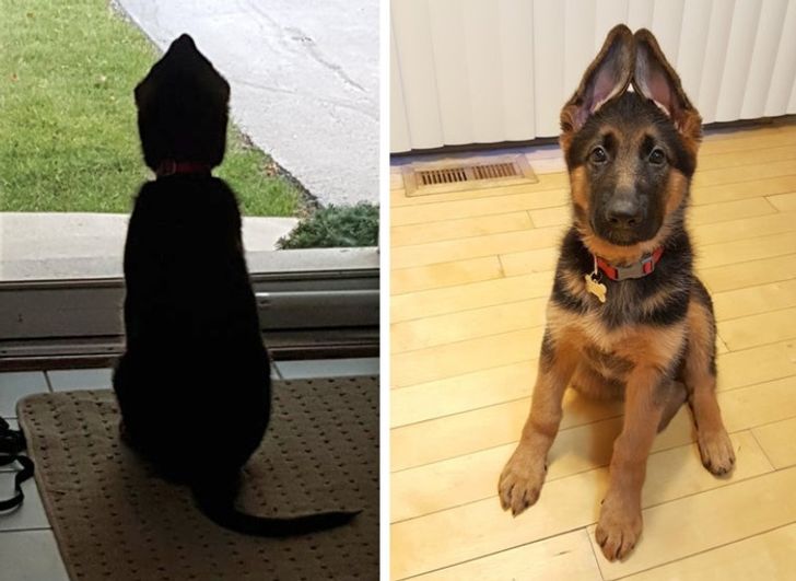 83d6c25ae887a8d2e12a0ff059