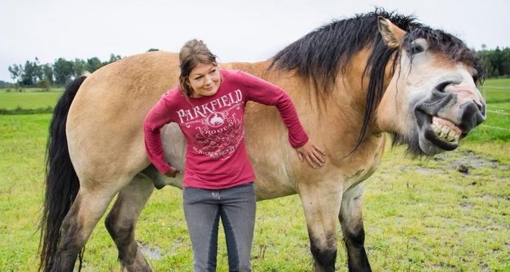 83d9ce54049ce24f0389ef98b4