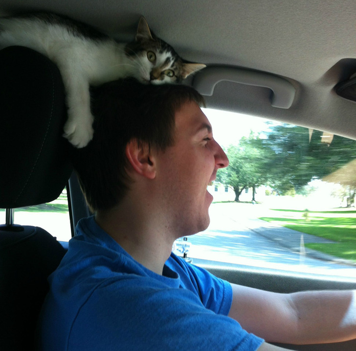 83dd465d59bdc4b00fd30238f4