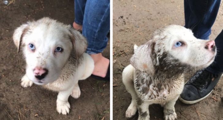 83ebaa54adb4337d4835916b17