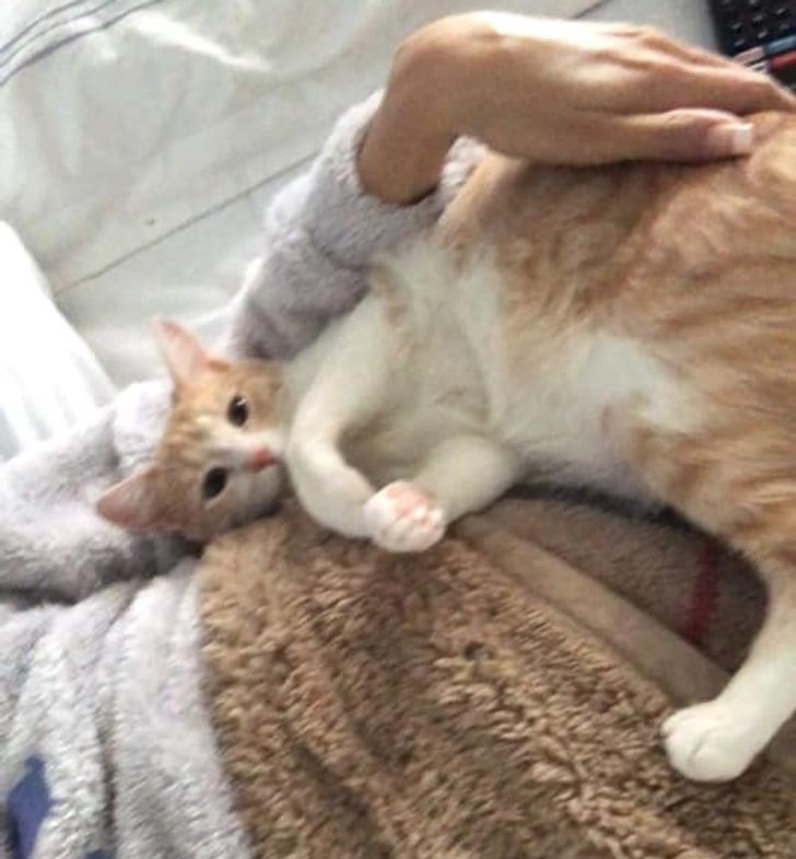 83ef3a5c179c6e7e2f8fba2cd3