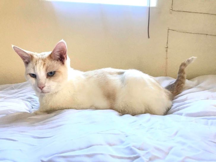 83f0ea594290f54f2c655ed147