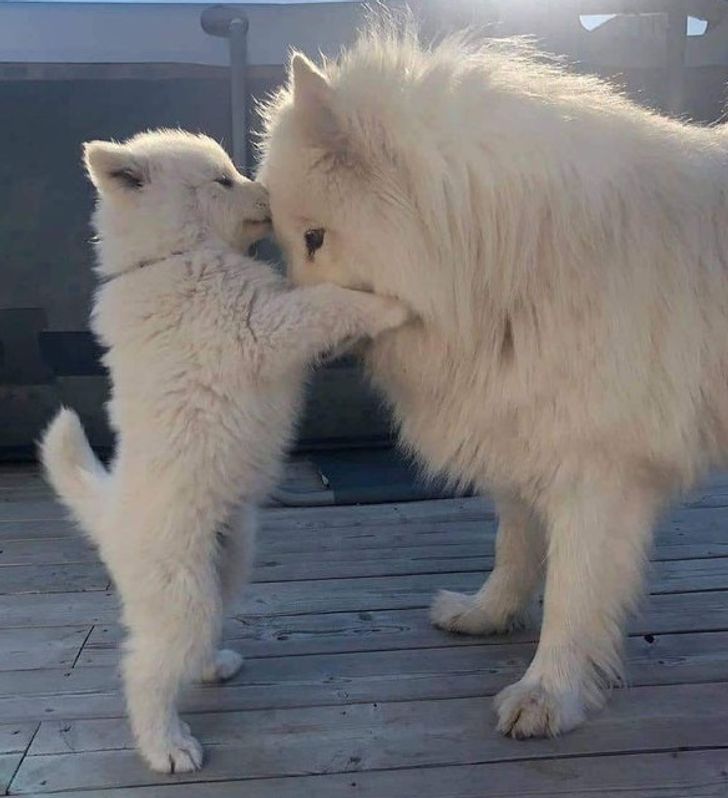 83f9335b9eaa16ff4ca7999188