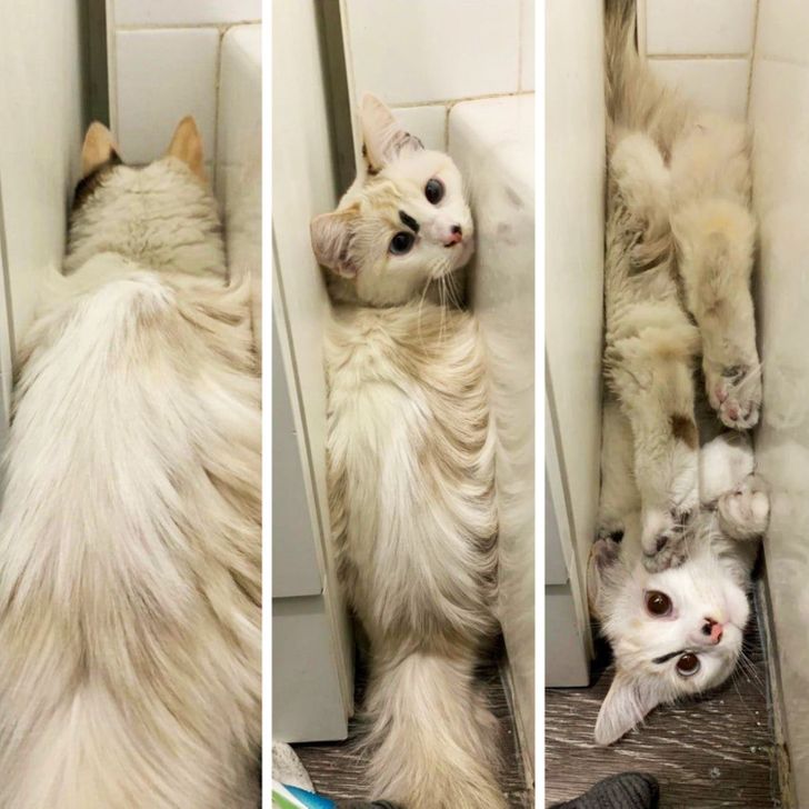 83fb085fa3a5d66b7bed9bb7ae