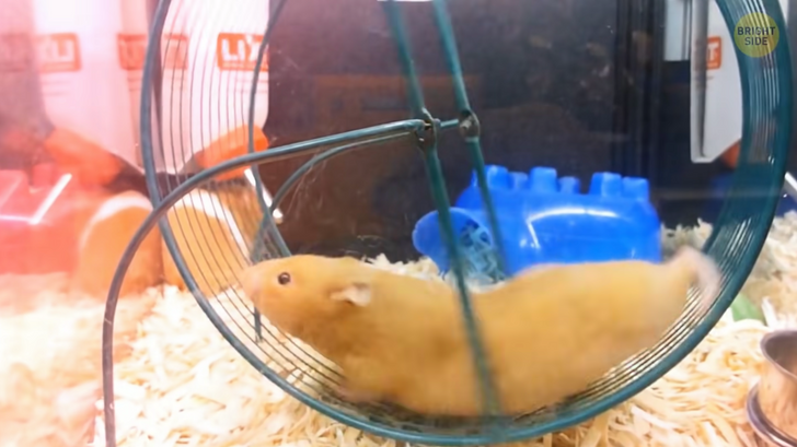 8404505165ab419ea43de9b054