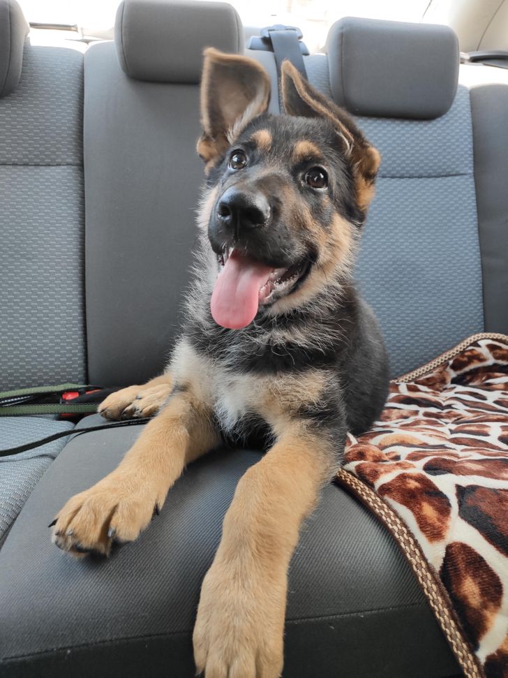 8404a3535ab8b93dbc22f7d8a8