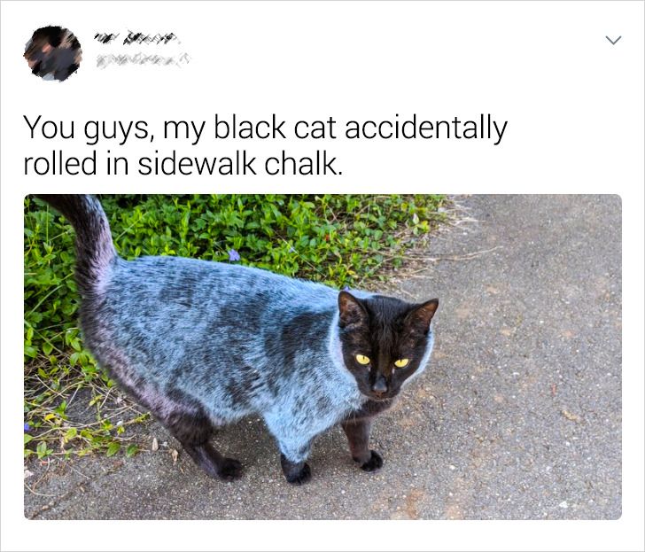 84054e5a4b938b1378209ed740