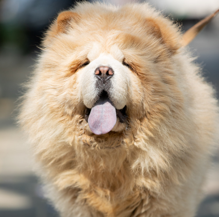 8406b45530bf9c6d3307cde05e 8406b45530bf9c6d3307cde05e