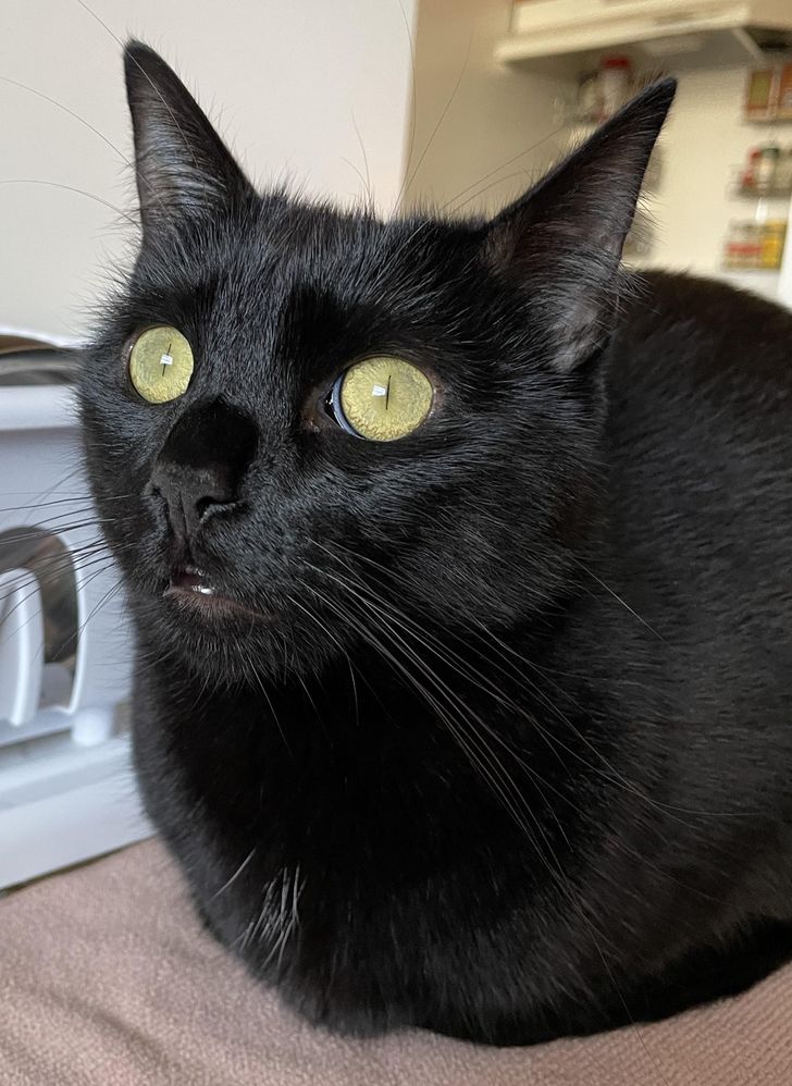 8408fb568aa08fb0f565632778