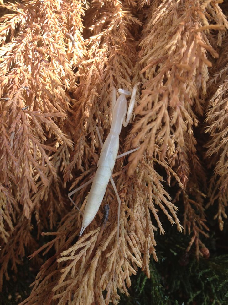 840ee359ce950e97b47c7db387