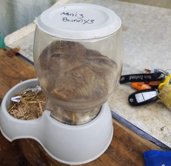 8414f65722835658a819031b8f