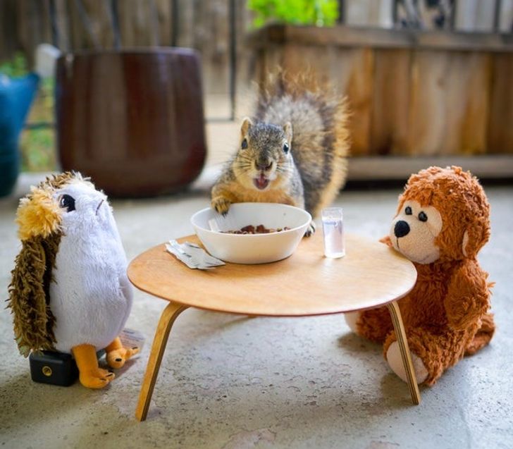 84188b5dd78ddcca64cd6eb3ee