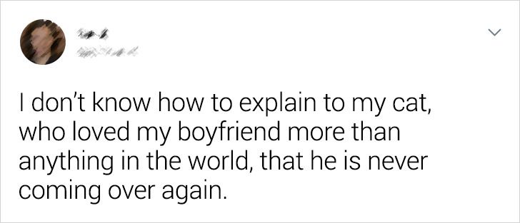 841b49508e894d0613d2617a93