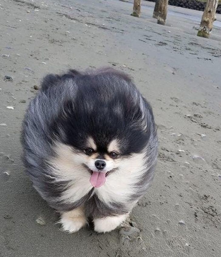 841b7c5f39ad58ccee2593432e